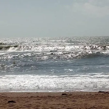 40 M2 En Rez De Jardin